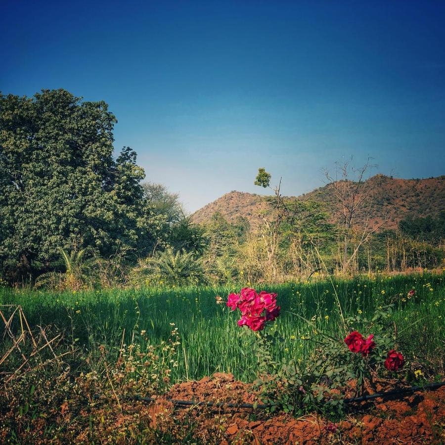 Villa The Riverside Estate - 3bedroom Private Pool In Udaipur